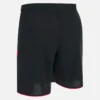 Albanien Nationalmannschaft FSHF 2026/27 Herren-Shorts Albanien Nationalmannschaft FSHF 2026/27 Herren-Shorts