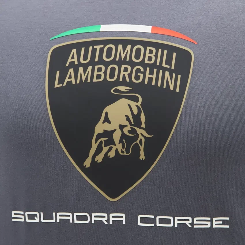 Automobili Lamborghini Squadra Corse Herren-Sport-T-Shirt in Grau Automobili Lamborghini Squadra Corse Herren-Sport-T-Shirt in Grau