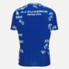 Auxerre 2025/26 Aufwärm-Hemd für Erwachsene Auxerre 2025/26 Aufwärm-Hemd für Erwachsene