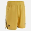Crystal Palace FC 2025/26 Eagle Gold Shorts für Erwachsene Crystal Palace FC 2025/26 Eagle Gold Shorts für Erwachsene
