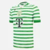 Ferencváros TC 2025/26 Heim-Trikot für Erwachsene Ferencváros TC 2025/26 Heim-Trikot für Erwachsene