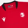 Georgischer Fußballverband 2025/26 Junioren-Auswärts-Trikot