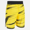 Ludwisburg 2025/26 Home-Shorts für Erwachsene
