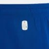 PAOK FC 2025/26 Vierte Shorts für Erwachsene