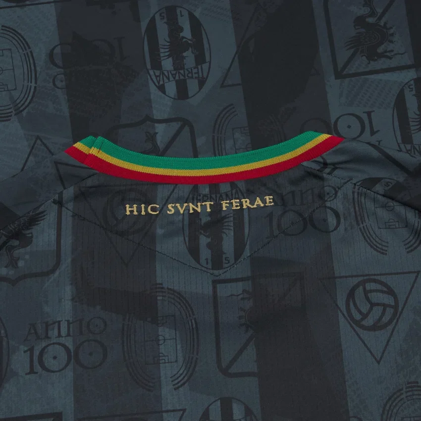 Ternana Calcio 2025/26 Auswärtstrikot für Erwachsene Ternana Calcio 2025/26 Auswärtstrikot für Erwachsene