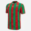 Ternana Calcio 2025/26 Heim-Trikot für Erwachsene Ternana Calcio 2025/26 Heim-Trikot für Erwachsene