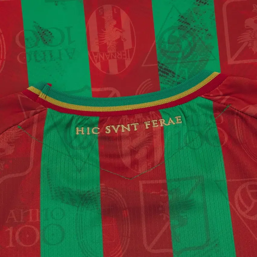 Ternana Calcio 2025/26 Heim-Trikot für Erwachsene Ternana Calcio 2025/26 Heim-Trikot für Erwachsene
